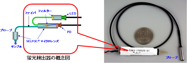 SELFOC®マイクロレンズを使用した小型蛍光検出器の図