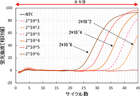 ノロウイルス試薬の市販PCR装置での測定データの図