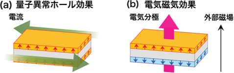 トポロジカル絶縁体積層薄膜における量子異常ホール効果と電気磁気効果の概念図