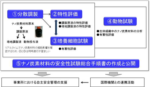 ナノ炭素材料の試料調製と特性評価、培養細胞試験および動物試験の概要の図