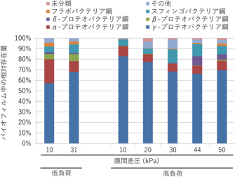 バイオフィルムを構成する微生物の存在割合の図