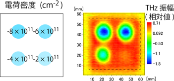 （左）絶縁膜の4か所に吹き付けられたイオンの電荷密度(中心値)と、（右）測定された電場の分布の図