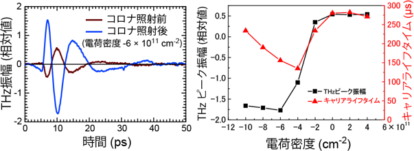 コロナ放電により変化するテラヘルツ波の波形（左）と、テラヘルツ波の振幅とコロナ放電で吹き付けたイオンの量との関係（右）の図