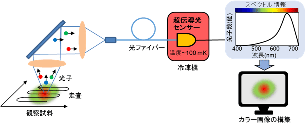 光子顕微鏡概略図