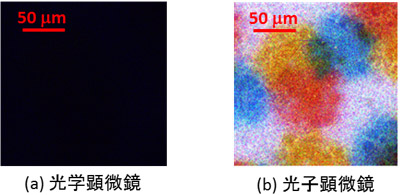 (a)光学顕微鏡（カラーCMOSカメラ）、(b)今回開発した光子顕微鏡で撮影した画像