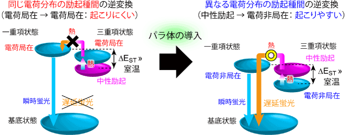 今回提案したパラ体構造の導入によるTADF発光メカニズムの模式図