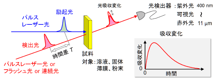 ポンプ・プローブ過渡吸収分光法の原理の図