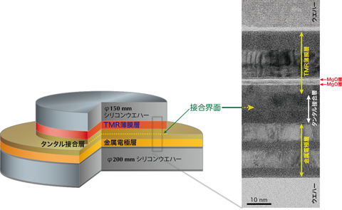 ウエハーダイレクト接合後の断面電子顕微鏡像の図