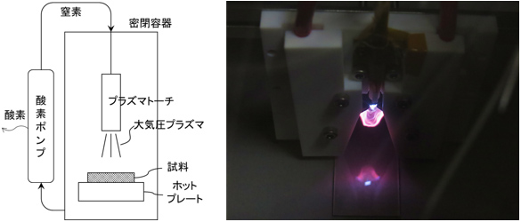 図1 CPS法の概要（左）と改良型電極を用いた低温プラズマ焼結時における密閉容器内の様子(右)の図と写真