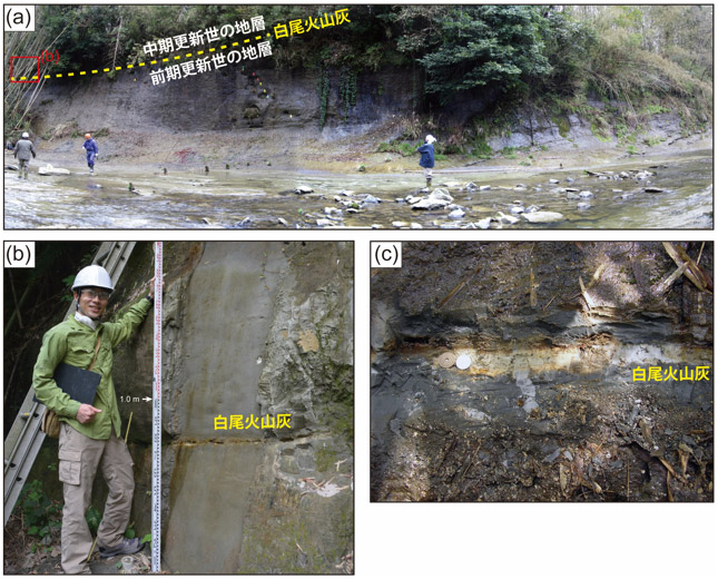 市原市田淵の養老川岸の地層「千葉セクション」で見つかった白尾火山灰の写真