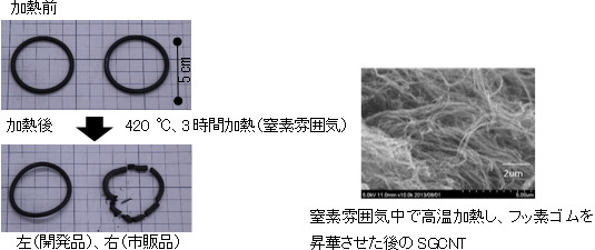 今回開発したOリングと市販品との比較（左）と高温加熱後のSGCNTの電子顕微鏡観察像（右）の写真