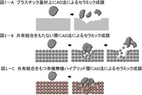 有機無機ハイブリッド膜の共有結合がもたらす効果の推定メカニズムの図