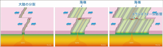 大陸の分裂につづく海洋底の拡大と、海嶺およびトランスフォーム断層の関係の図