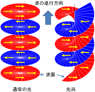 通常の光の波面(左)と渦状の波面を持つ光渦(右)の模式図