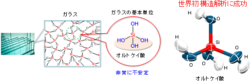 ã¬ã©ã¹ã®åºæ¬åä½ã§ãããªã«ãã±ã¤é¸ã¨è§£æãããã®åå­æ§é å³