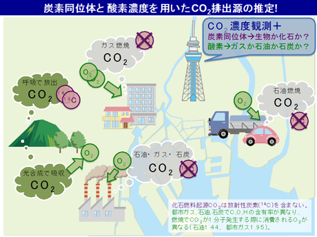 炭素同位体と酸素濃度を用いてCO<sub>2</sub>排出源を推定する方法の概要の図