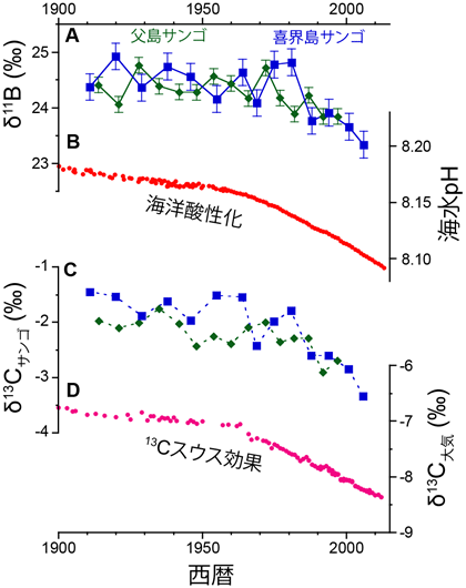 電子電荷とスピンの緩和時間の温度依存性（左）と実証されたElliott-Yafet機構の模式図と高移動度有機半導体分子の化学構造（右）の図