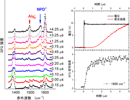 電圧印加初期時のSFGスペクトルの時間応答の様子の図（右）と素子に印加したパルス電圧、素子からの発光強度の時間変化の拡大図（左）