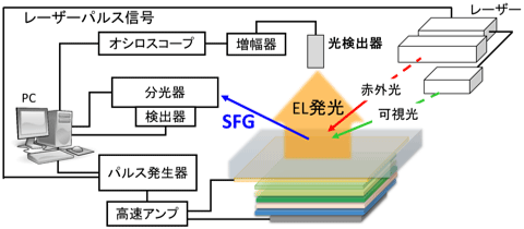 今回開発した時間分解測定装置概要図