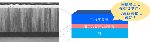今回作製したGaN圧電薄膜の電子顕微鏡写真（左）と構造の模式図（右）の画像