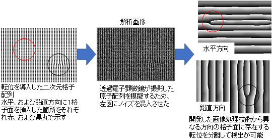 透過電子顕微鏡画像から転位を可視化する技術の図