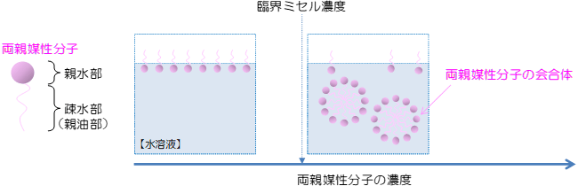 両親媒性有機化合物の説明図