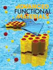 Advanced Functional MaterialsのInside Back Cover画像
