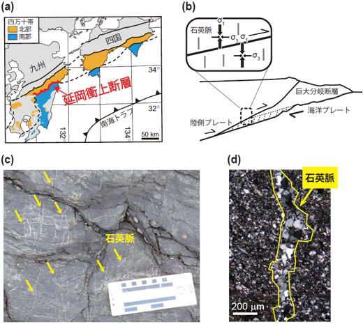 九州－四国の地質概略図と延岡衝上断層(a)と巨大地震が発生した後の引っ張り亀裂の形成時の模式図(b)、延岡衝上断層周辺の石英脈の露頭写真（c）と薄片試料の偏光顕微鏡写真（d）