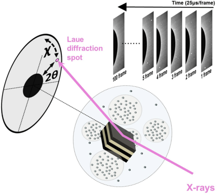 X線1分子追跡法（Diffracted X-ray Tracking; DXT）の説明図