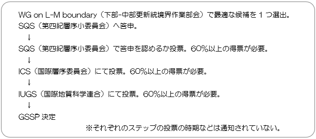 GSSPの審査ステップの図