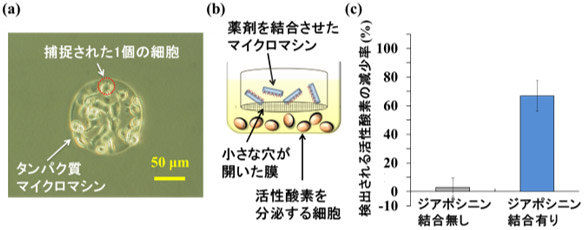 タンパク質マイクロマシンの機能の評価の図