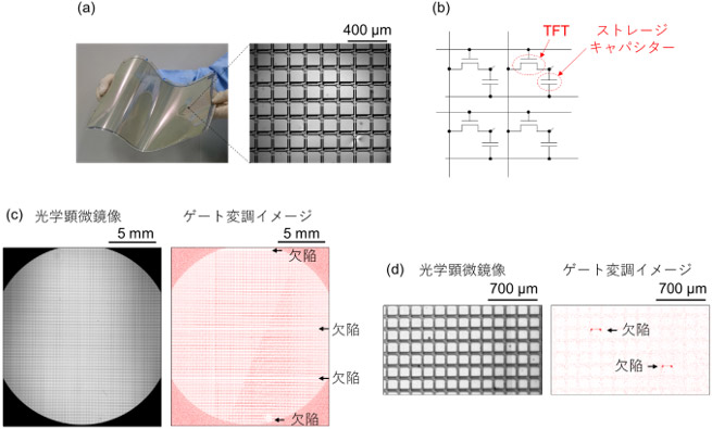 （a）全印刷により製造した画素密度150ppiのアクティブバックプレーン、（b）アクティブバックプレーンの等価回路図、（c）アクティブバックプレーンをTFT欠陥検出モードで測定したゲート変調イメージと光学顕微鏡像、（d）キャパシター欠陥検出モードで測定したゲート変調イメージと光学顕微鏡像の図
