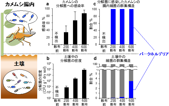 土壌と害虫間での殺虫剤分解菌の動態の図