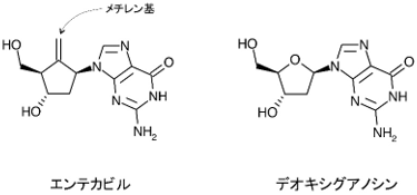 エンテカビルの説明図