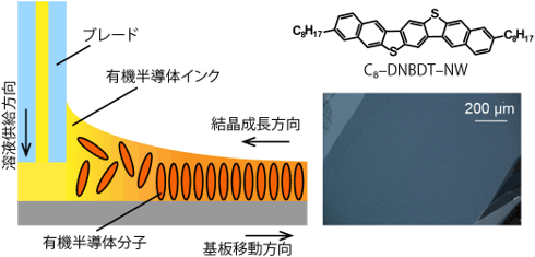 有機半導体インクから大面積単結晶薄膜を塗布製膜する手法の概要図（左）と高移動度有機半導体材料の構造式と2次元単結晶領域の偏光顕微鏡写真（右）