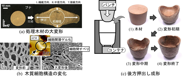 木質流動成形の概略図