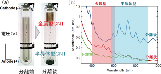 (a)ELF法による単層CNT分離装置、(b)光吸収スペクトルの図