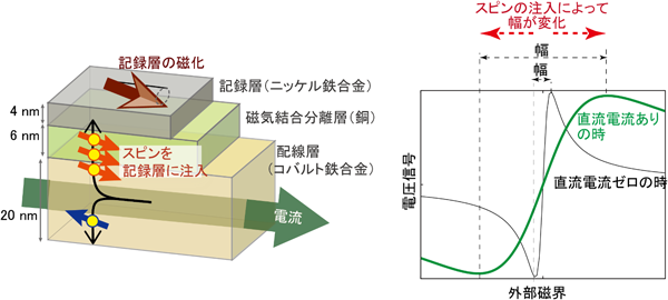 今回作製した素子の模式図(左)と電圧信号の例(右)の図