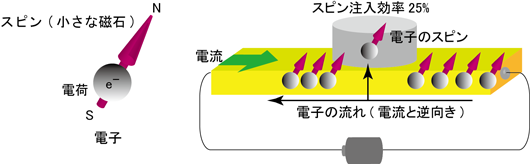 スピンおよびスピン注入の概念図