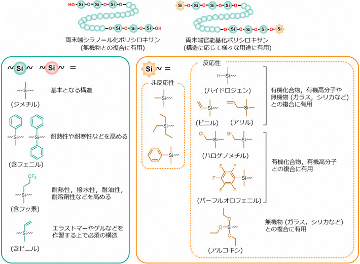 今回開発した合成法で合成できるポリシロキサンの構造例の図