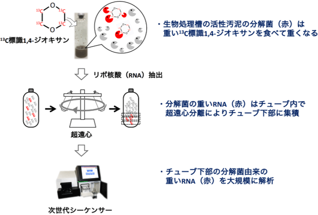 図2