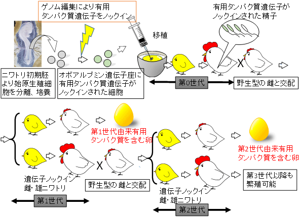 図1