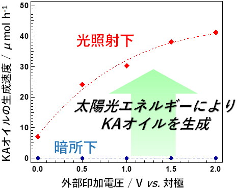 図1