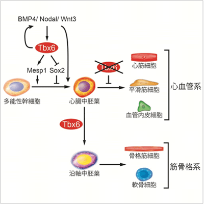 図3