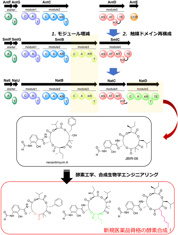 図