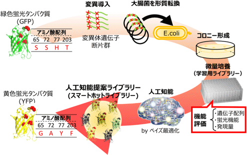 図1