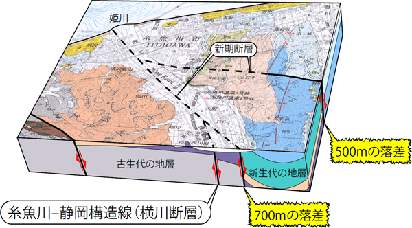 図5