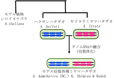 図2