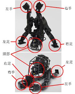 図1