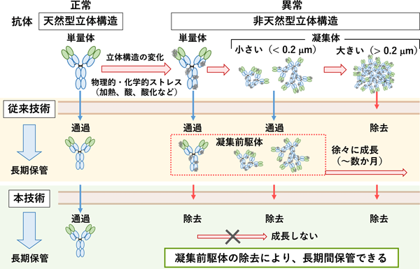 概要図